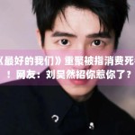 《最好的我们》重聚被指消费死者！网友：刘昊然招你惹你了？