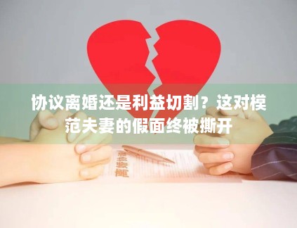 协议离婚还是利益切割？这对模范夫妻的假面终被撕开